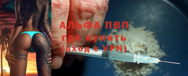 стаф Володарск